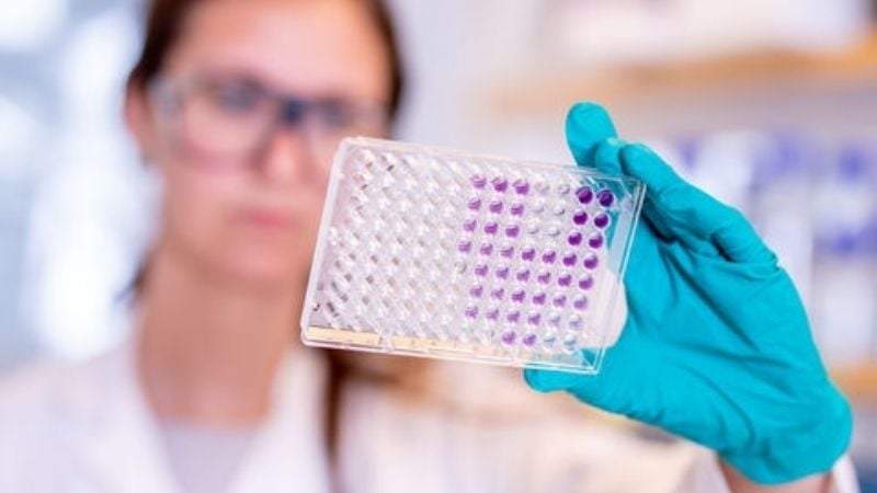 AstraZeneca y Oxford reconocieron un error al informar sobre su vacuna. Foto: www.astrazeneca.com