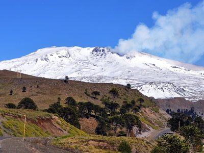 El volcán Copahue registró un evento explosivo