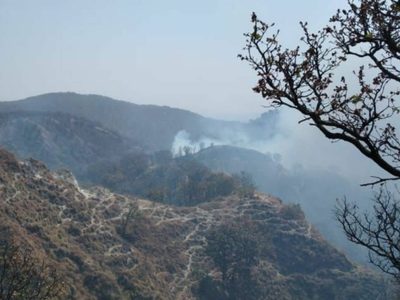 Dan 5 años de prisión a bombero que causó incendio en el bosque de La Primavera