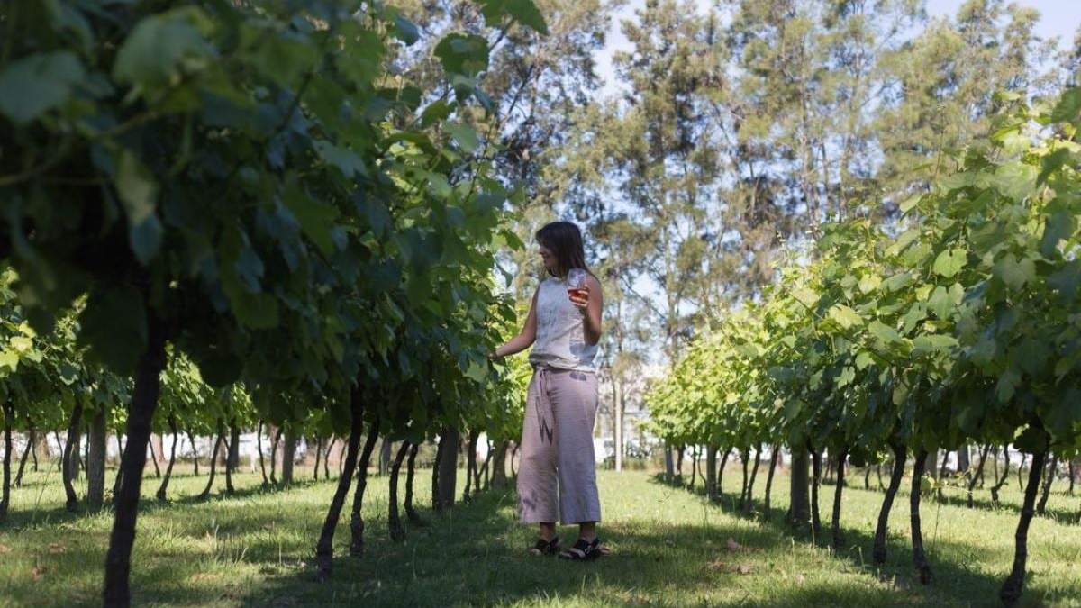 Abren las bodegas de Uruguay. Fuente: (Facebook)