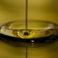ANMAT prohíbe una marca de aceite de girasol falsificado