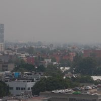 #Procesofoto, las imágenes del día