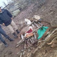 Un hombre deberá realizar tareas comunitarias tras haber organizado una salida de caza ilegal