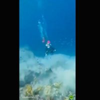 Inédito: Buzos captan un terremoto de magnitud 7.1 bajo el mar (Video)