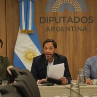 Caso $Libra: se conocen las conclusiones de la investigación de Diputados