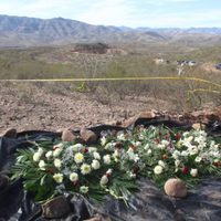 Vinculan a proceso a presunto integrante de “La Línea” implicado en la masacre de los LeBarón