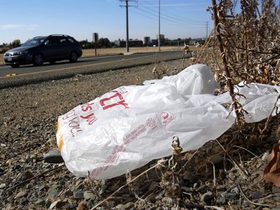 Gobernador de California promulga ley que prohíbe todas las bolsas de plástico en tiendas