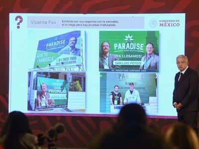 Estas son las "pruebas irrefutables" de García Vilchis sobre los negocios de Fox con la cannabis