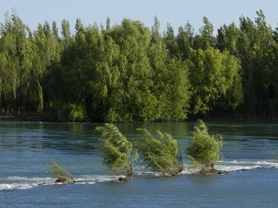 Clima en Neuquén: a desempolvar los abrigos y frazadas, habrá un fuerte descenso de la temperatura