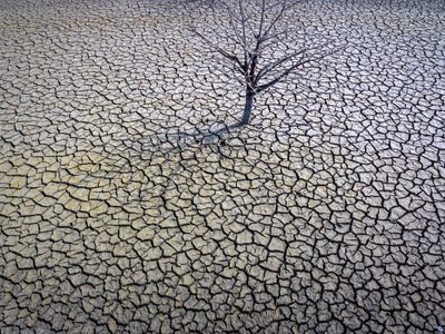 El 2023 fue el año más caluroso en la historia del planeta