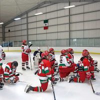 Hockey Femenil: Brillar bajo cero (apoyos)