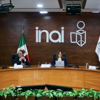 Diversas ONG alertan sobre los riesgos que implica la desaparición del INAI