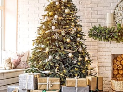 La encontrás en tu jardín: qué tenés que colgar en tu árbol de Navidad para atraer la prosperidad y la buena suerte