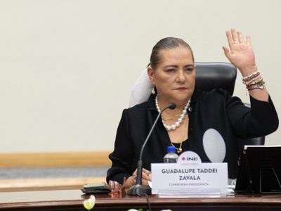 Taddei consuma el control de áreas clave del INE gracias a reforma impulsada por Morena