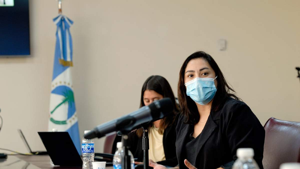 Karina Montecinos, diputada del bloque Coalición Cívica ARI, en la Legislatura. Fuente: (Twitter)
