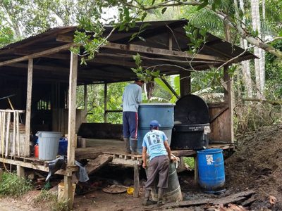 Así se fabrica y se exporta la cocaína colombiana (Video)