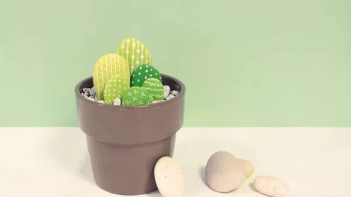 Cactus. Fuente: (Instagram)