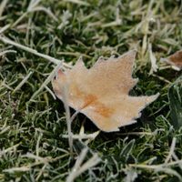 Clima en Neuquén: Un domingo sin nieve pero con muchísimo frío y heladas por la noche