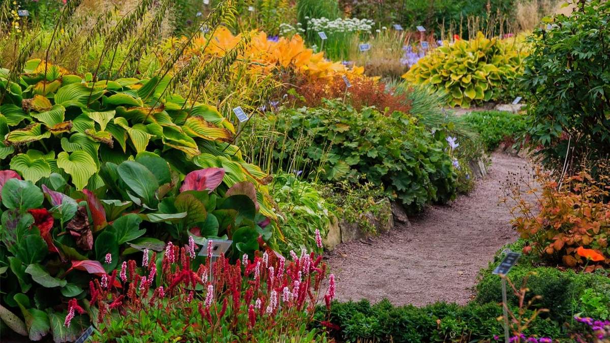 Plantas. Fuente: (X)