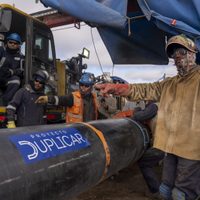 Oleoducto Duplicar Norte: se expuso el Estudio de Impacto Ambiental clave para Vaca Muerta