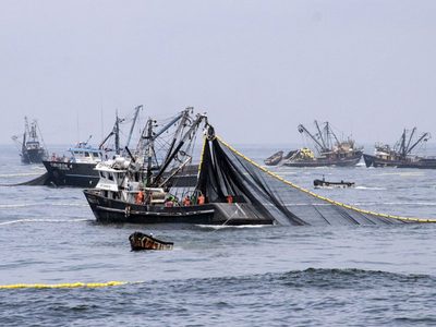 El Mar Argentino, víctima nuevamente del extractivismo pesquero
