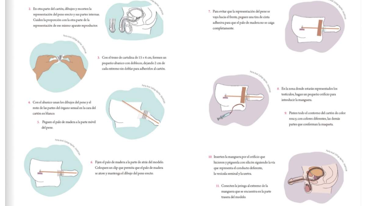 Imágenes tomadas del libro de quinto año de primaria "Proyectos de Aula", que el Frente Nacional por la Familia rechaza en materia de educación sexual