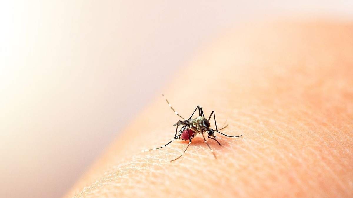 161 personas han fallecido por dengue en esta temporada. Fuente: (Twitter)