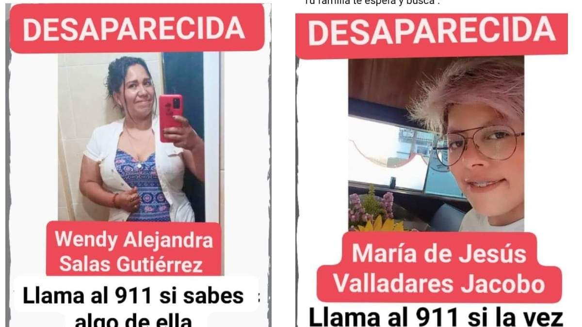 Fichas de búsqueda no oficiales
