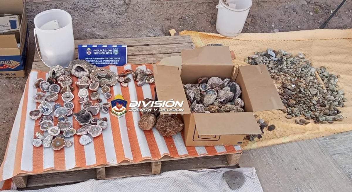 Recuperan fósiles que eran vendidos por Facebook. Fuente: (Policía de Neuquén)