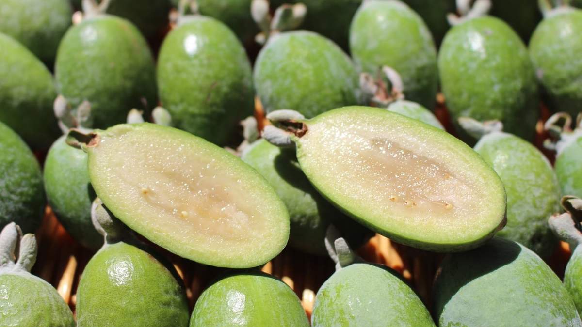 Feijoa. Fuente: (Instagram)