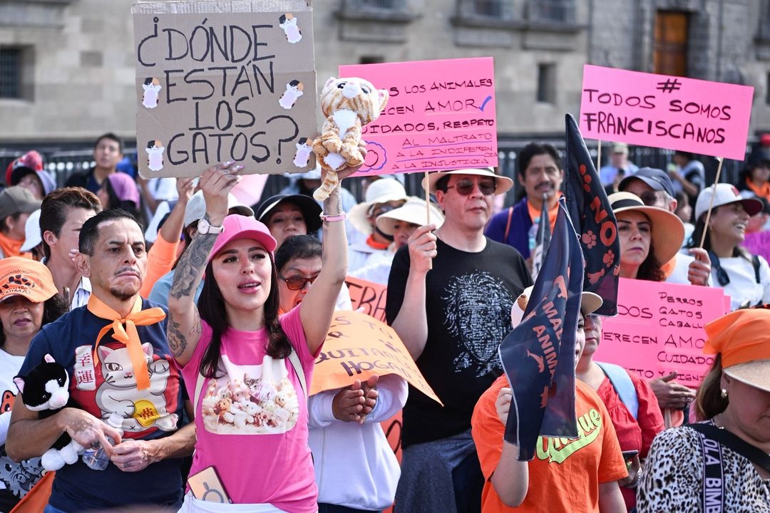 marcha4