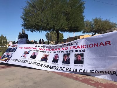 Desmantelamiento de Constellation Brands en Mexicali inicia el 18 de marzo