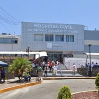 Confirman caso de rabia en una mujer que fue mordida por su gato en Nayarit; está hospitalizada