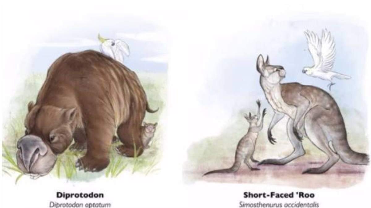 Ejemplos de megafauna extinta de Australia
