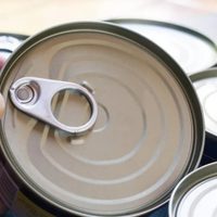 No tires las latas de atún vacías: creá esto tan hermoso y original para decorar tu jardín con onda