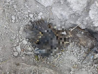 Hallan restos de dos personas en inmediaciones de la carretera Monterrey – Nuevo Laredo
