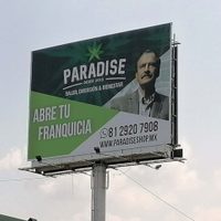 Es tiempo de legalizar el uso de esa maravillosa planta de la mariguana: Fox