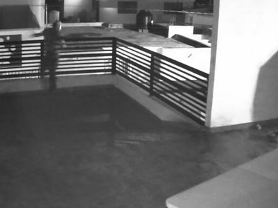Dos perros Pitbull frustran un robo y obligan al ladrón a saltar desde un segundo piso (Video)