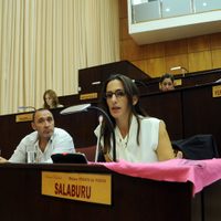 El Frente de Todos pide el respaldo al Fondo Nacional para la Cancelación de la Deuda con el FMI