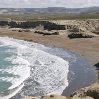 Tesoro del sur: la reserva natural de la Patagonia que combina mar y estepa