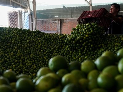 El crimen entronizado en Michoacán... y en el país