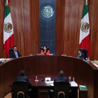 Tribunal Electoral ordena al INE ampliar motivos para cancelar candidaturas de la elección judicial