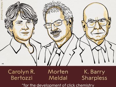 Carolyn R. Bertozzi, Morten Meldal y K. Barry Sharpless ganan el Premio Nobel de Química
