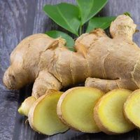 Los 6 beneficios del jengibre según la ciencia: desde aliviar náuseas hasta su poderoso efecto antioxidante