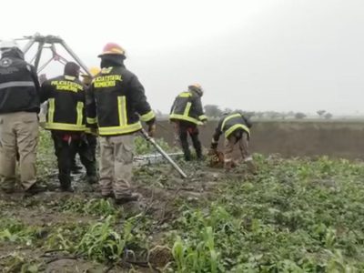 Rescatan a "Spay" y "Spike", los dos perros que cayeron al mega socavón de Puebla
