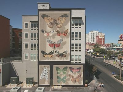 Un artista urbano crea mariposas en las paredes de edificios