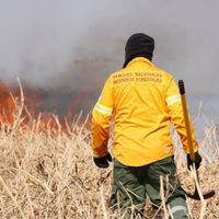 Tras los incendios, con un tuitazo nacional buscan impulsar una ley sobre humedales