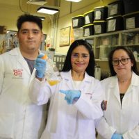 Científicos del IPN descubren un probiótico anticancerígeno proveniente del pulque