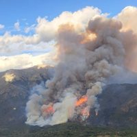 Dos de los seis focos de incendio en Cuesta del Ternero pudieron ser controlados por los brigadistas