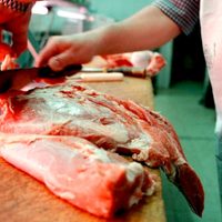Otro golpe al bolsillo: prevén aumentos mayores a los 30 pesos en el kilo de carne